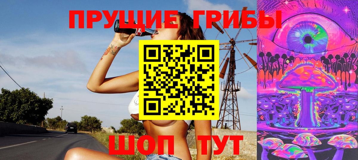 Псилоцибиновые грибы GOLDEN TEACHER Бирск